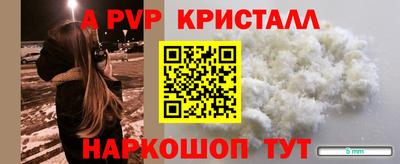 прущие грибы Обнинск