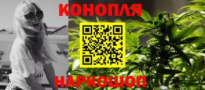 прущие грибы Обнинск