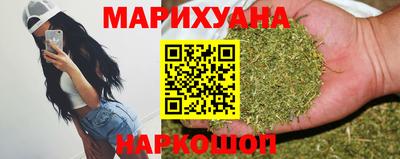 прущие грибы Обнинск