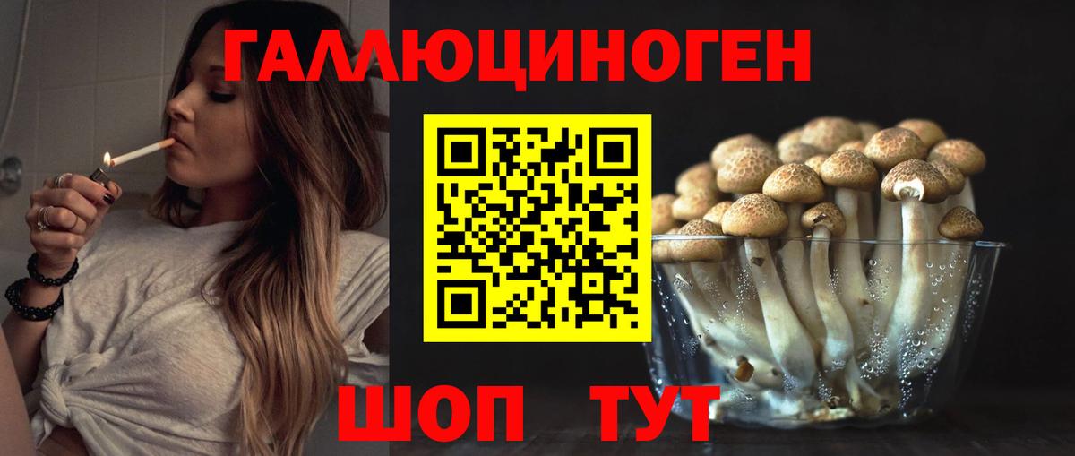 Галлюциногенные грибы Psilocybine cubensis  дарнет шоп  Унеча  Вход с VPN 