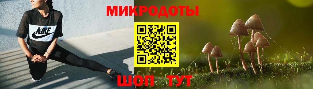 Псилоцибиновые грибы мицелий Унеча